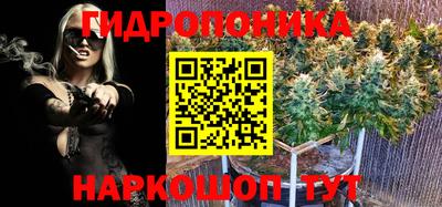 не бодяженный Гатчина