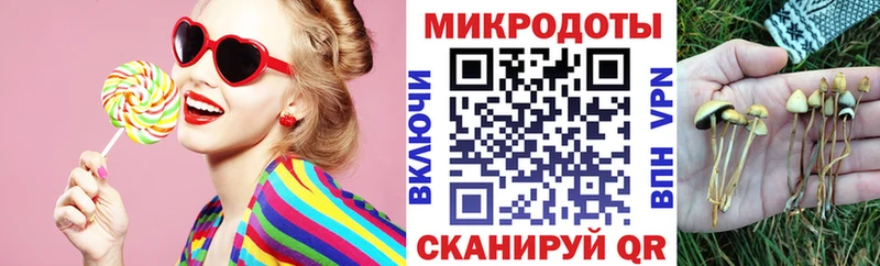 Псилоцибиновые грибы ЛСД Зеленодольск