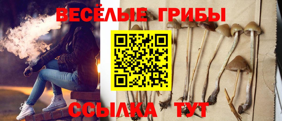 Галлюциногенные грибы прущие грибы  хочу   Зеленодольск  Вход с VPN 