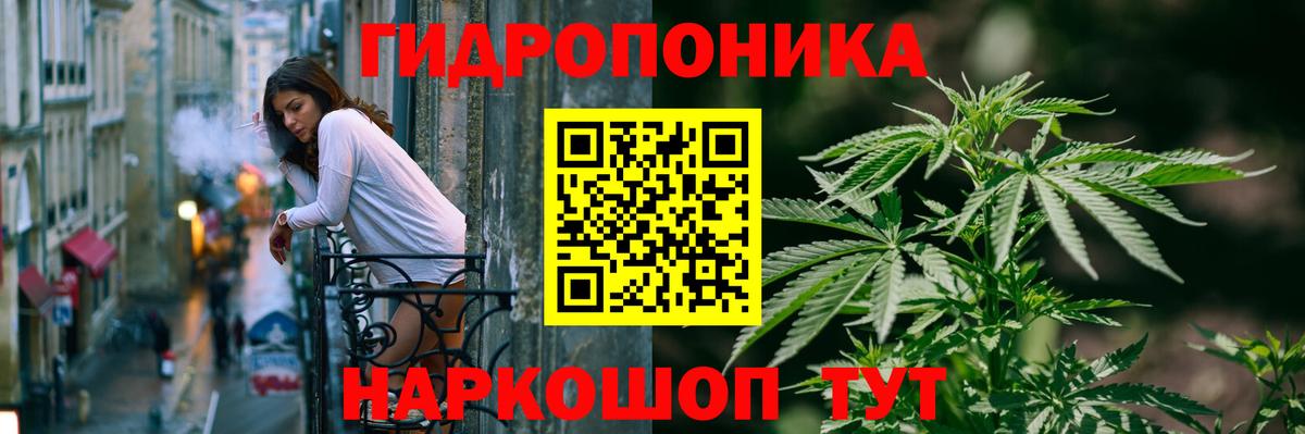 Конопля гибрид Зеленодольск